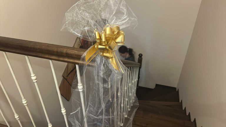 3d2d0902-0a8b-4ef4-b926-bf7caa6e9e8a